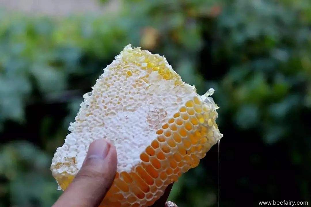 怎么辨认蜂蜜的真假？
