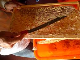 蜂蜜是怎么形成的？