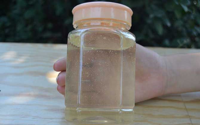 槐花蜜的功效与作用及食用方法-水蜂源