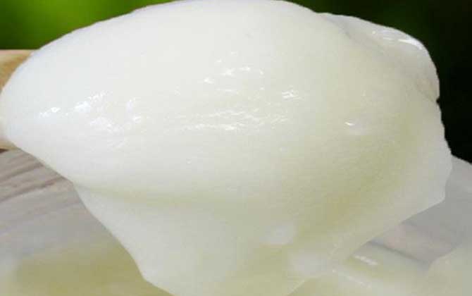 椴树蜂蜜真的能减肥吗?-水蜂源